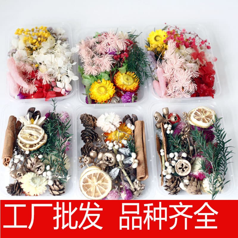 Preserved Flower DIY Kit Pinecone Scented Candle Floating Flower Round Fan Wholesale Dried Flower DIY Materials