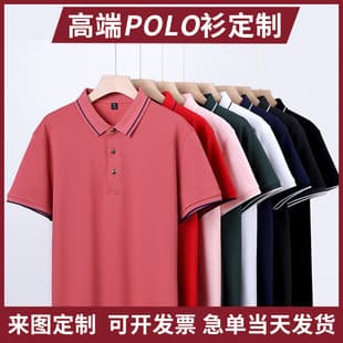Pique Turn-Down Collar Polo Shirt Custom Logo T-Shirt Advertising Culture Shirt Embroidery Group Workwear Wholesale
