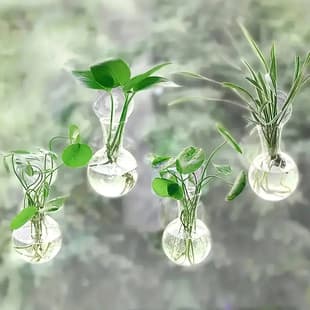 Cross-border Hydroponic Pothos Plant Bottle Plastic Hanging Ornament Home Gardening Decoration Acrylic Wall-mounted Transparent Vase