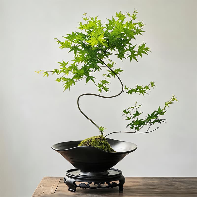 Liquidambar Formosana Zen Ceramic Flower Pot New Chinese Style Flower Pot Bergamot Moss Pot Art Creative Tray Desktop Decoration