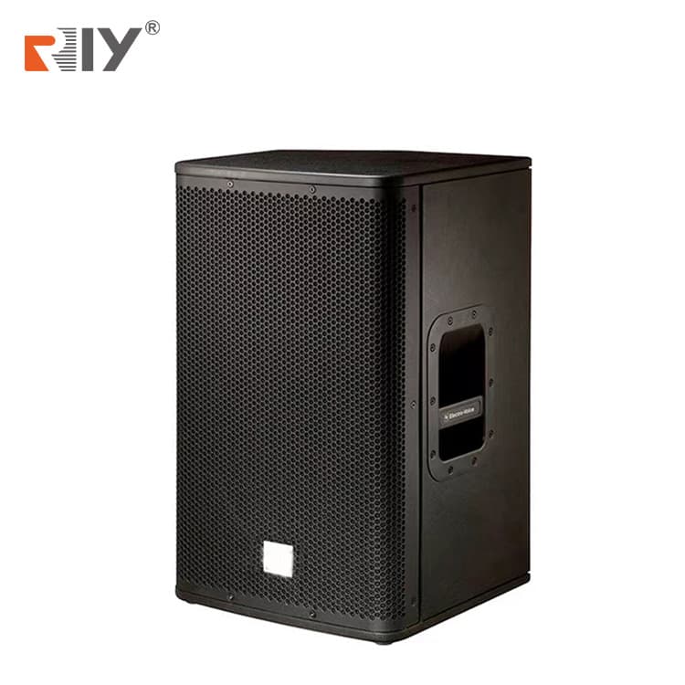 ELX112 Professional Speaker 12-inch Passive Speaker for Home KTV, Dance, Gym, Classroom, and Training Room