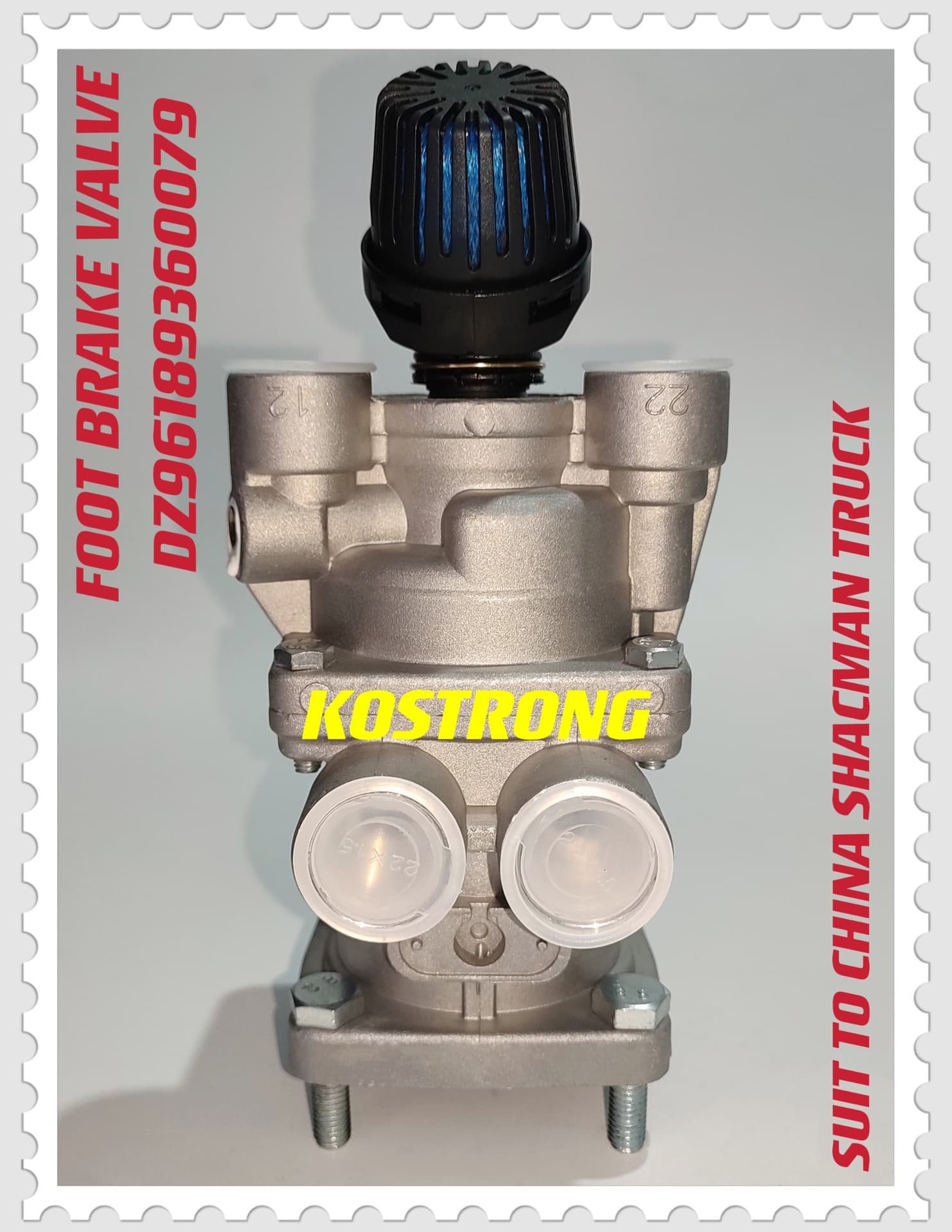 Factory Export Heavy Truck Brake Parts Brake Master Cylinder DZ96189360079 for China Shaanxi Automobile Delong