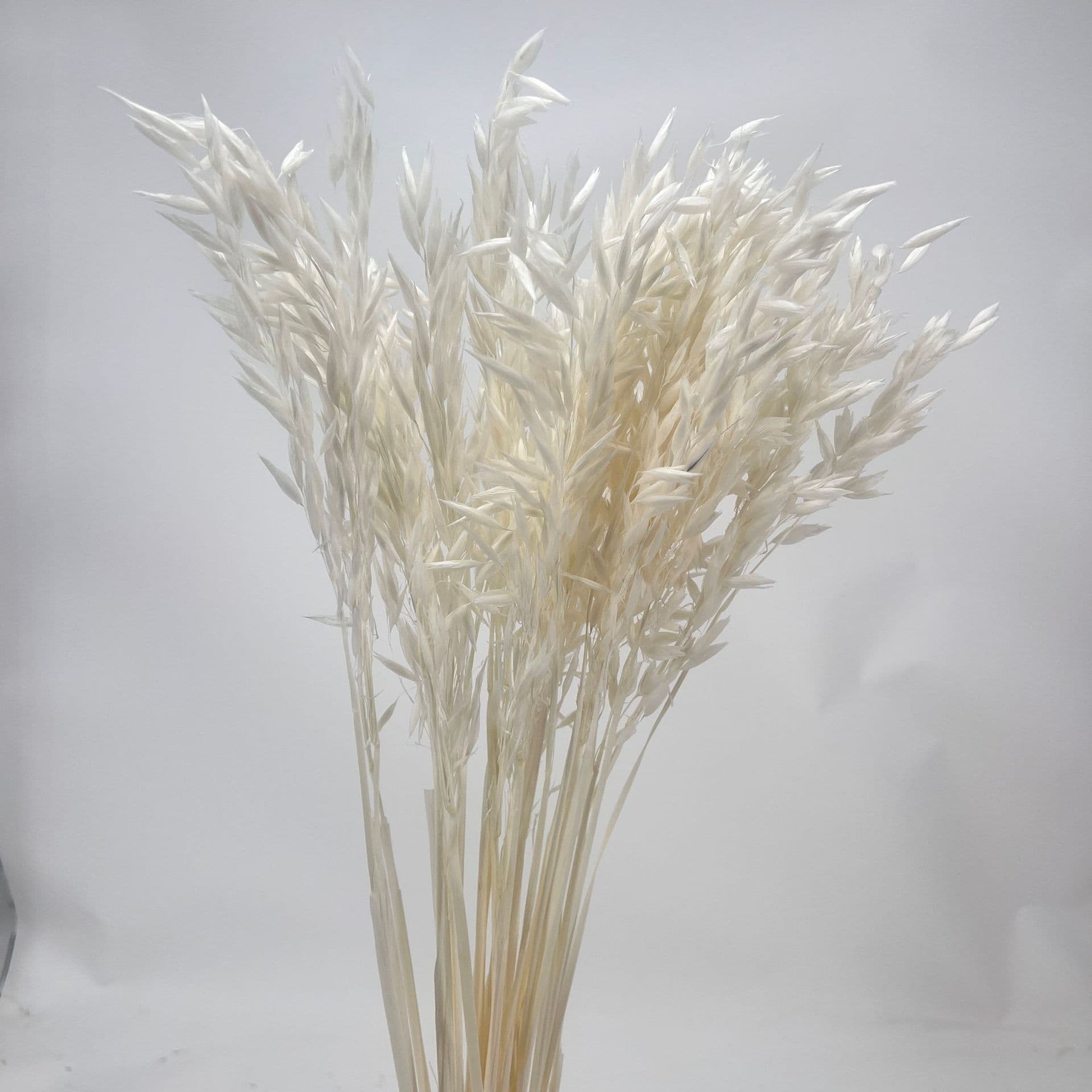 Dried flower bouquets, oatmeal preserved flowers, DIY flower materials, Nordic home decoration, large oatmeal wedding flowers, photography props