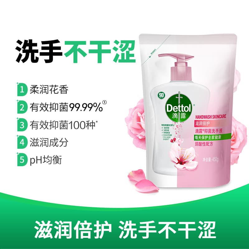 Dettol Moisturizing & Protective Hand Soap 450ml, bagged, pine and citrus scent, antibacterial and germ-removing, official genuine product, wholesale and drop shipping.