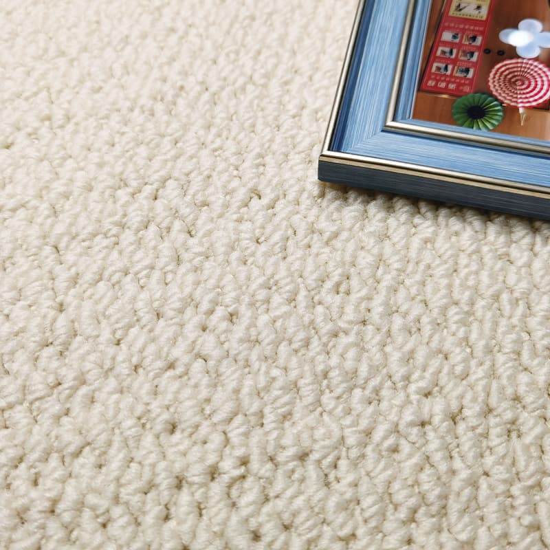 Huade Modern Simple American Style Cream White Brown Carpet for Living Room Bedroom Photo Background Cat Claw Mat