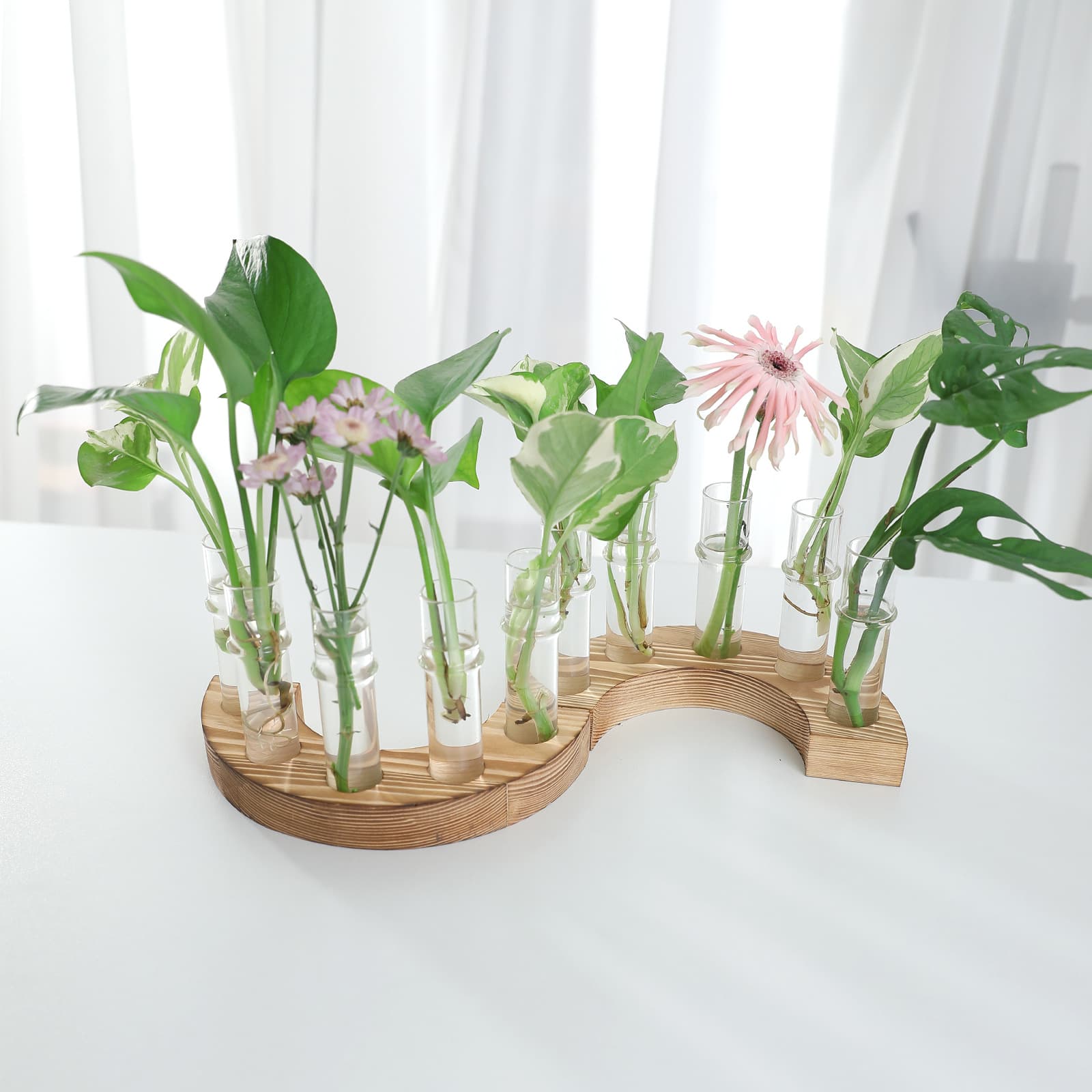 Solid Wood Test Tube Vase Set for Home Floral Arrangement, Hydroponic Vase, Plant Decoration, Instagram-Style Glass Vase
