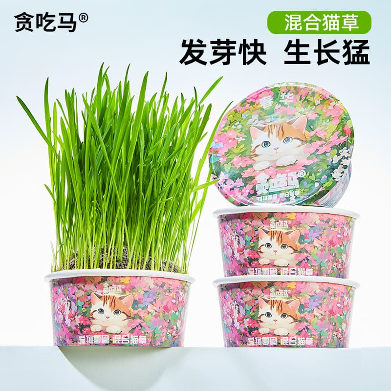 Greedy Horse Spring Cat Grass Soilless Cat Grass Cat Grass Mixed Cat Grass Cat Snacks
