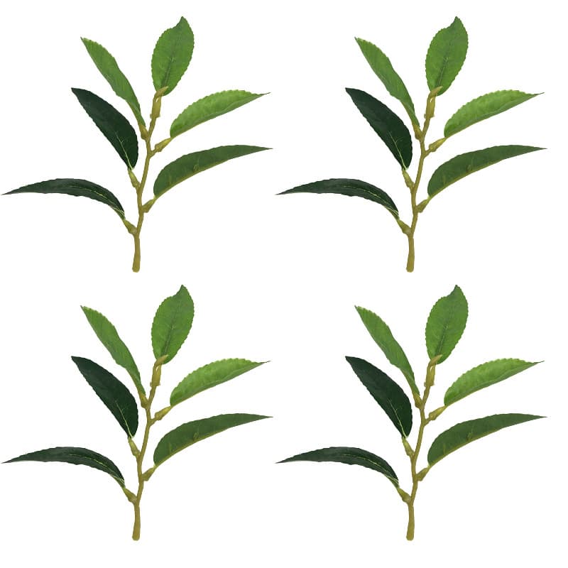 Simulated Leaf Tea Leaves, Green Plant Tree Leaves, Anji White Tea, Maojian Tea, Black and Green Tea Single Leaf DIY Decoration Wholesale