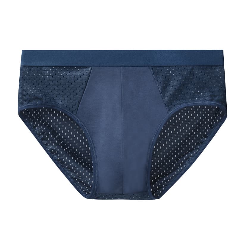 Men's Briefs Ice Silk Breathable Mesh Sexy Ultra-Thin Underwear Boxer Shorts