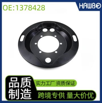 1378428 Brake Cover Plate for SCANIA