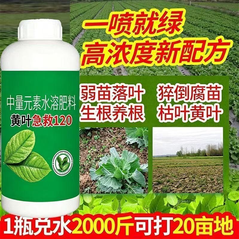 A spray of green leaf fertilizer, yellow leaves, household green leaflets, diseased leaves, healthy leaves, amino acid leaf fertilizer nutrient solution
