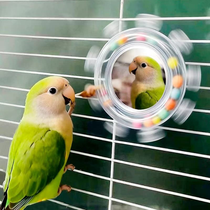New arrival! Small pet toy, fun bird mirror, rotating and makes a sound, decorative birdcage, button-locked.