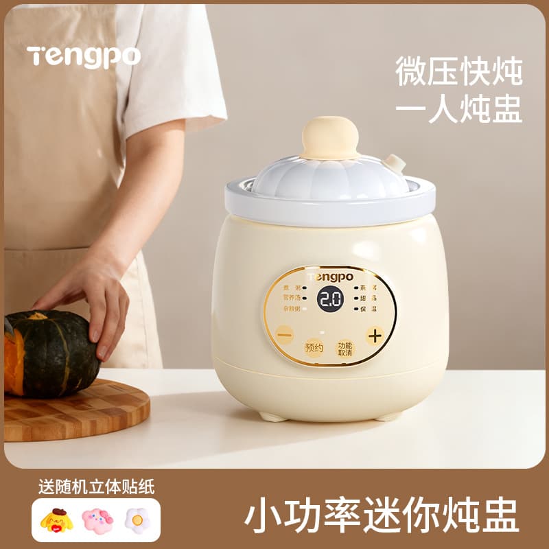Tengpo Single Serving Mini Electric Stew Pot, Small Ceramic Pot, Popular Multi-functional Congee Maker for Home Use