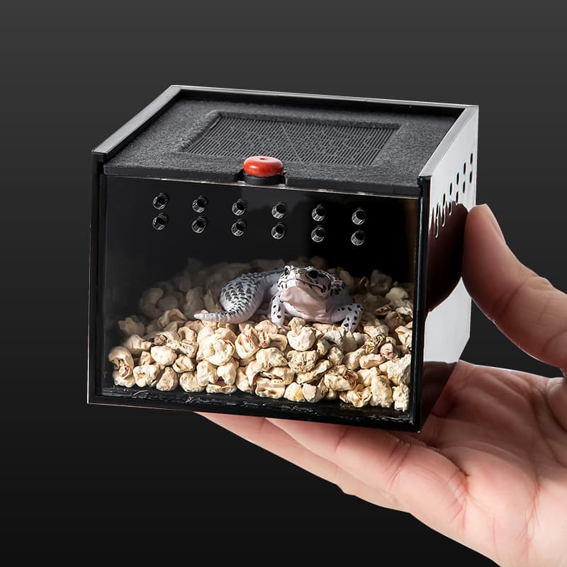 Cattle Pet Factory Direct Climbing Pet Box Pet Reptile Box Acrylic Spider Scorpion Beetle Insect Breeding Box