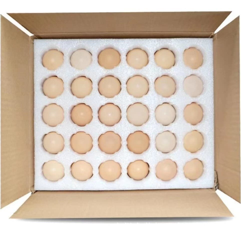 Factory Direct EPE Pearl Cotton Egg Tray Shockproof Drop-Resistant Positioning Cushion Express Packaging