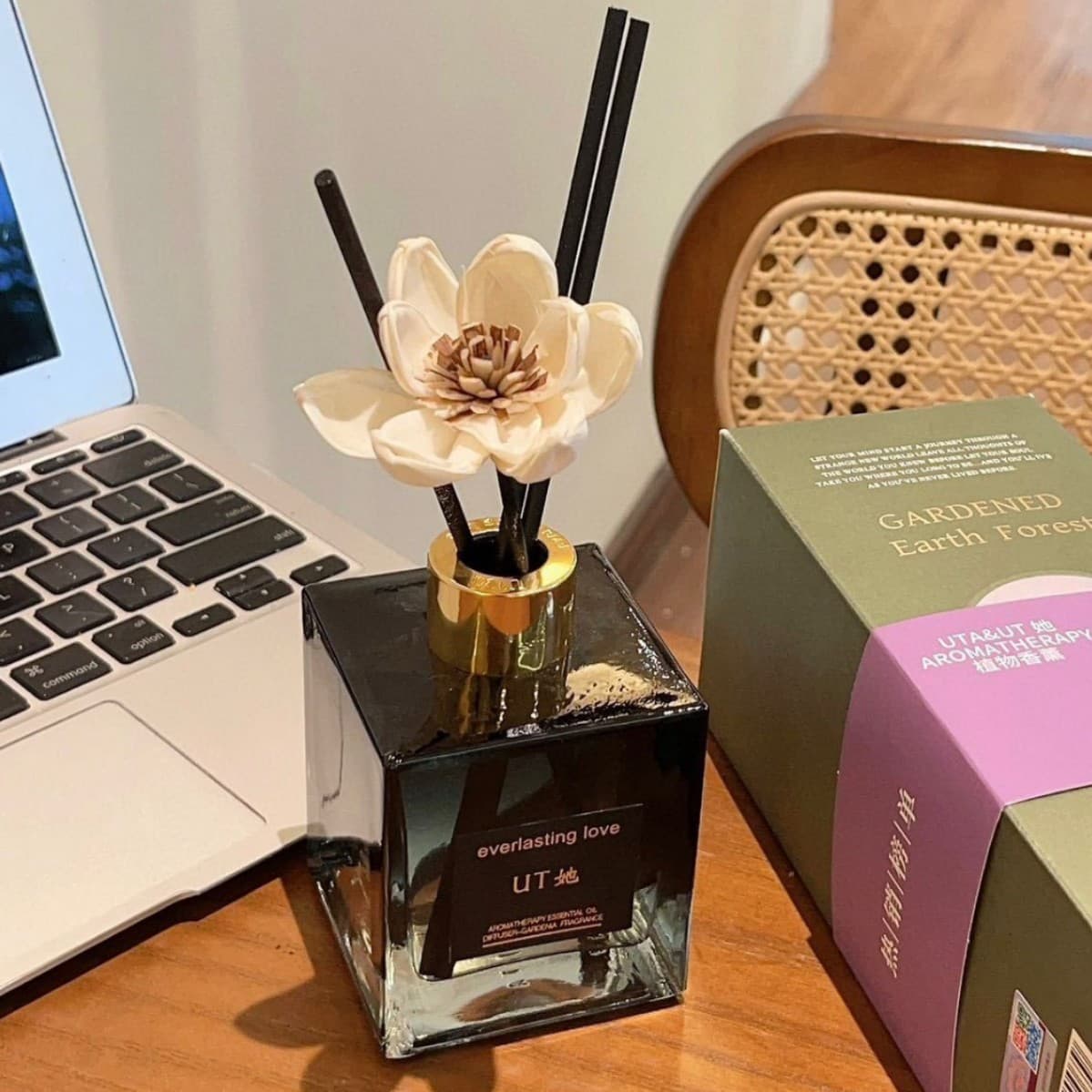 [Inquire for Price] UTA & UT Her Earth Forest 200ml Plant Extract Essential Oil Aromatherapy, Indoor Home Use
