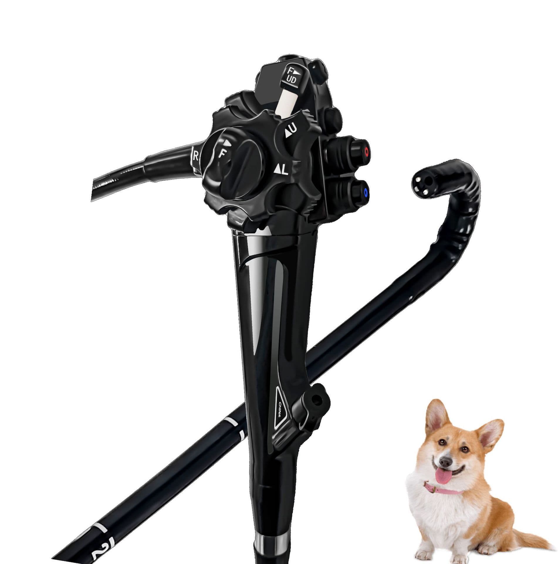 Domestic Endoscope Brand Gastrointestinal Veterinary Electronic Flexible Endoscope Medical Equipment