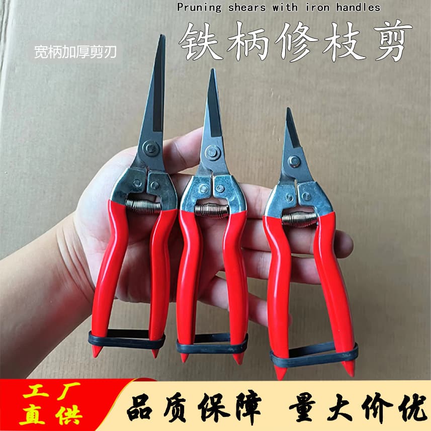Factory Direct Iron Handle Pruning Shears Garden Fruit Picking Scissors Anti-Slip Pruning Shears Grape Scissors Various Sizes