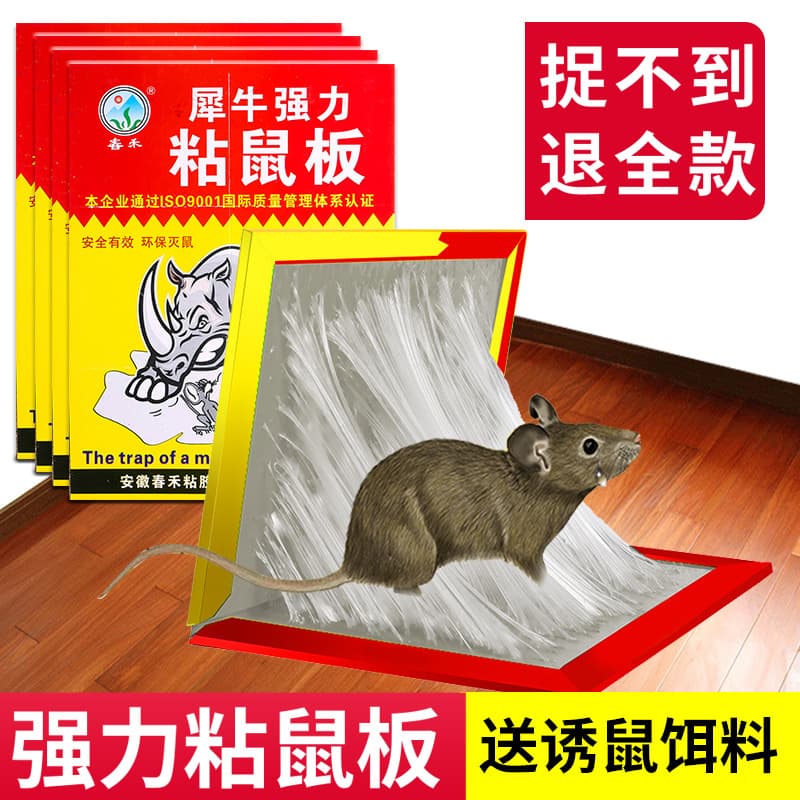 Sticky Mouse Trap Board, Strong Glue Rat Catcher for Home, Restaurant, Kitchen, Extra Large and Thick Mouse Trap