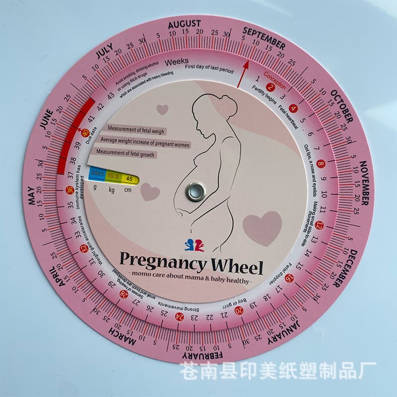 Manufacturer Direct Supply English Plastic Time Date Calculation Dial, Pregnancy Week Wheel, Health BMI Cycle Dial