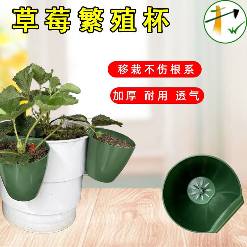 Strawberry propagation cup greenhouse seedling flower pot planting transplant seedling pot breathable cutting strawberry stem rooter