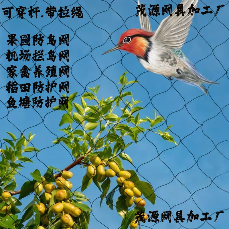 Orchard Bird Netting, Airport Bird Control Net, Poultry Farm Protection Net, Rice Field Protection Net, Black, Factory Direct Source