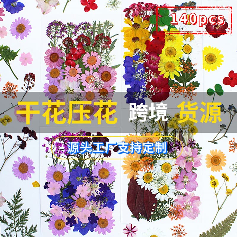 140pcs Amazon Cross-Border Hot Selling Pressed Flower Dried Flower Real Flower Plant Specimen