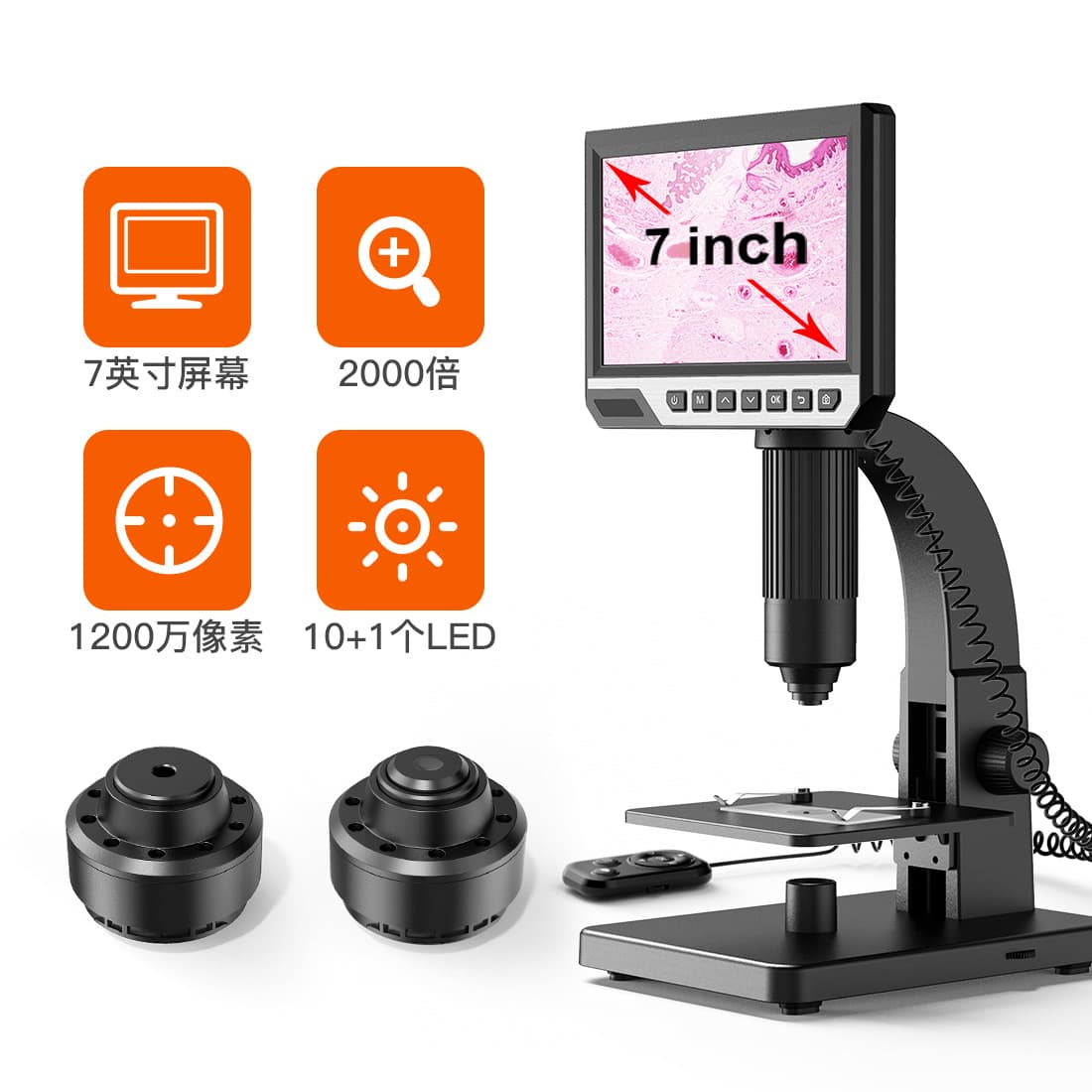 Microscope Accessories Microscope Slides Coverslips Stereo Zoom Lens Light Source Camera