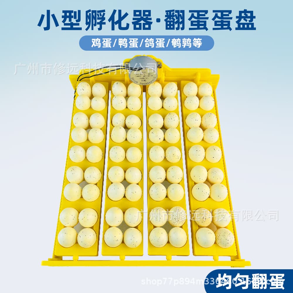 Incubator 16/24 Egg Fully Automatic Small Incubator with Egg Turner for Poultry Farm and Laboratory Use