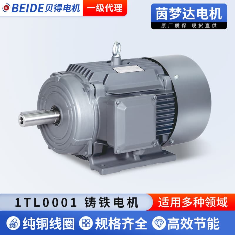 Bede Motor 1TL0001 Cast Iron Three-Phase Asynchronous Motor IP55 0.55-315KW Low Voltage Variable Frequency Motor