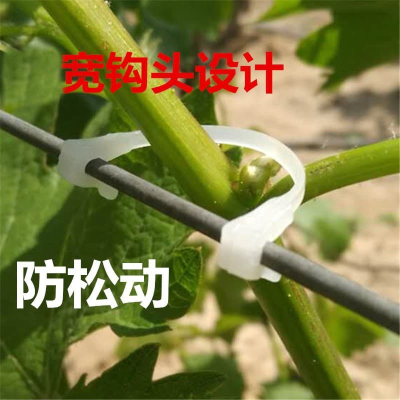 Grape branch tying card, vine fixing plastic branch tying device, kiwi fruit branch tying buckle, sapling branch tying clamp wholesale
