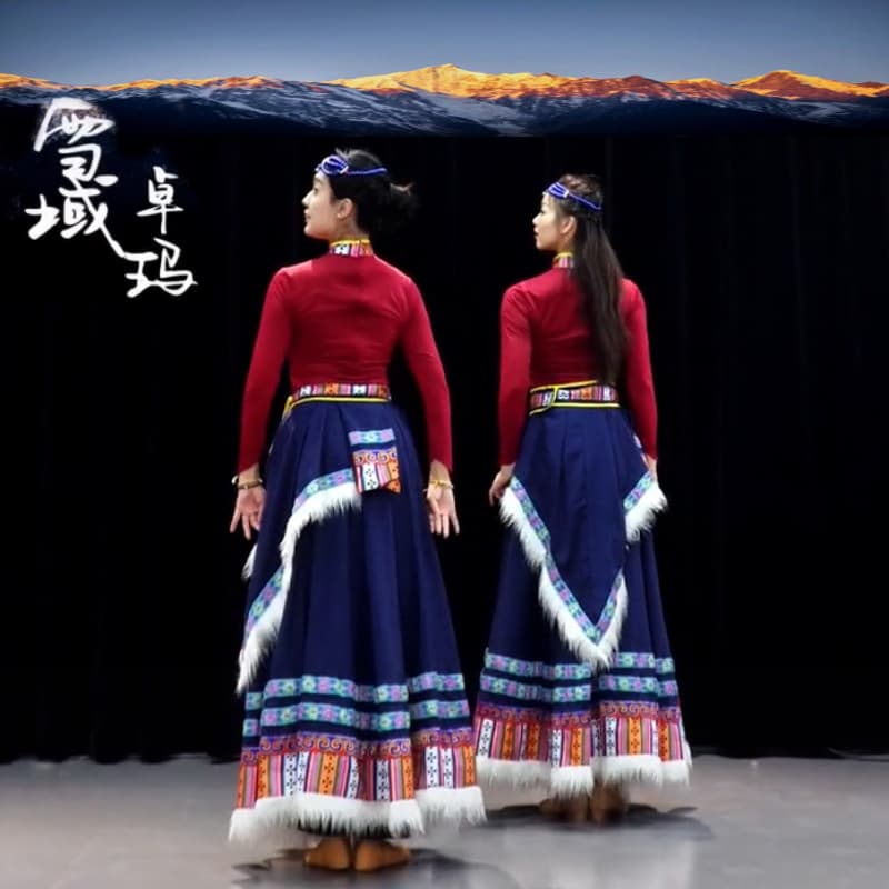 Snowy Tibetan Dance Costume, Performance Outfit, Women's Half-Length Skirt, Tibetan Dance Competition, Tibetan Practice Skirt