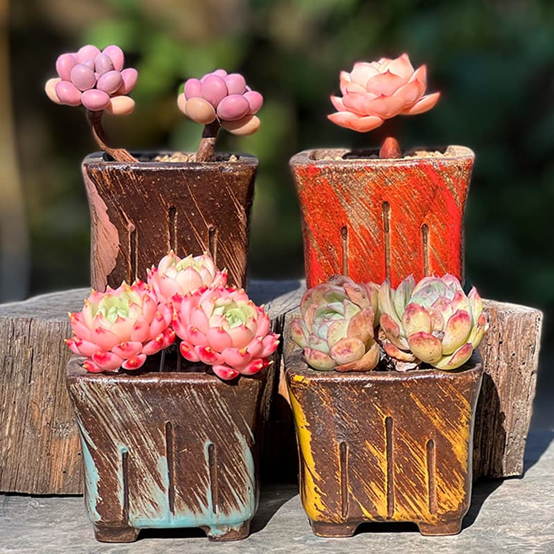 Succulent Planter, Maifan Stone, Coarse Pottery, Square, Vintage, Textured Crackle Ceramic Set for Indoor Use