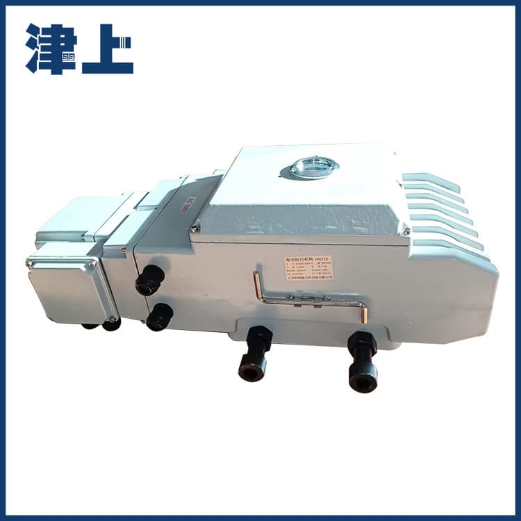 Bernard Passive Contact Signal AC Electric Mini Electric Actuator ADOK-100E ADOK