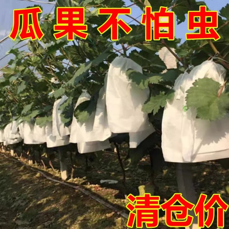 Fruit bagging bird and insect-proof specialized mesh bags, grape, fig, loquat, mango, apple bag, strawberry bagging wholesale