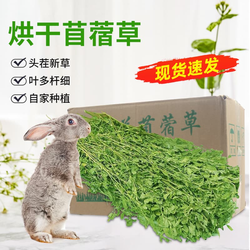 2026 Dried Alfalfa Hay for Chinchilla, Guinea Pig, Rabbit Pet Food Feed 1KG / Alfalfa for Young Rabbits
