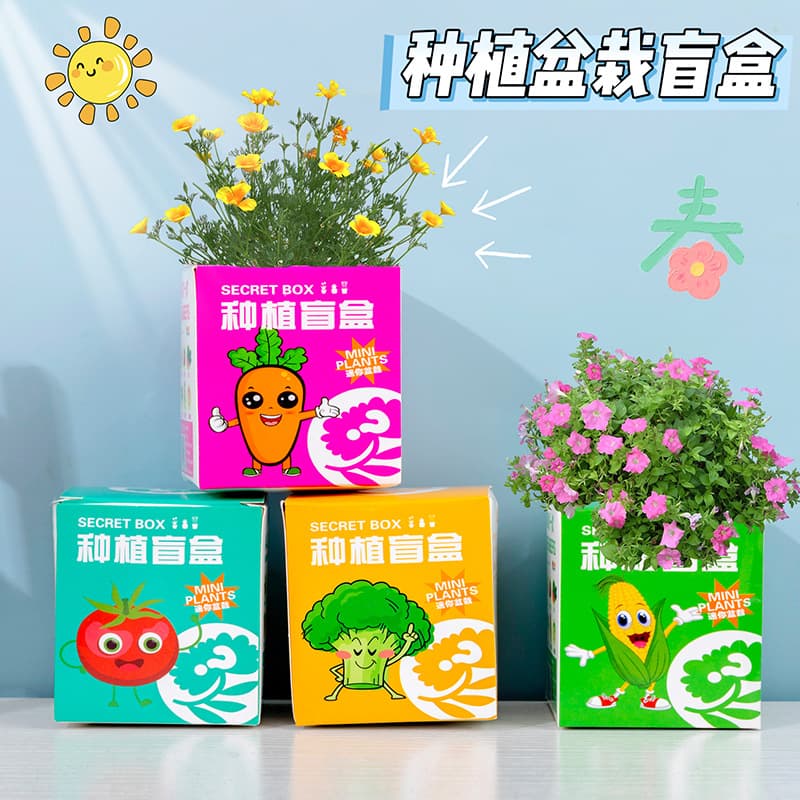 Gift Small Observation Planting Blind Box Ground Promotion Small Gift Kindergarten Small Potted Plant Sharing Children's Desktop Plant Birthday