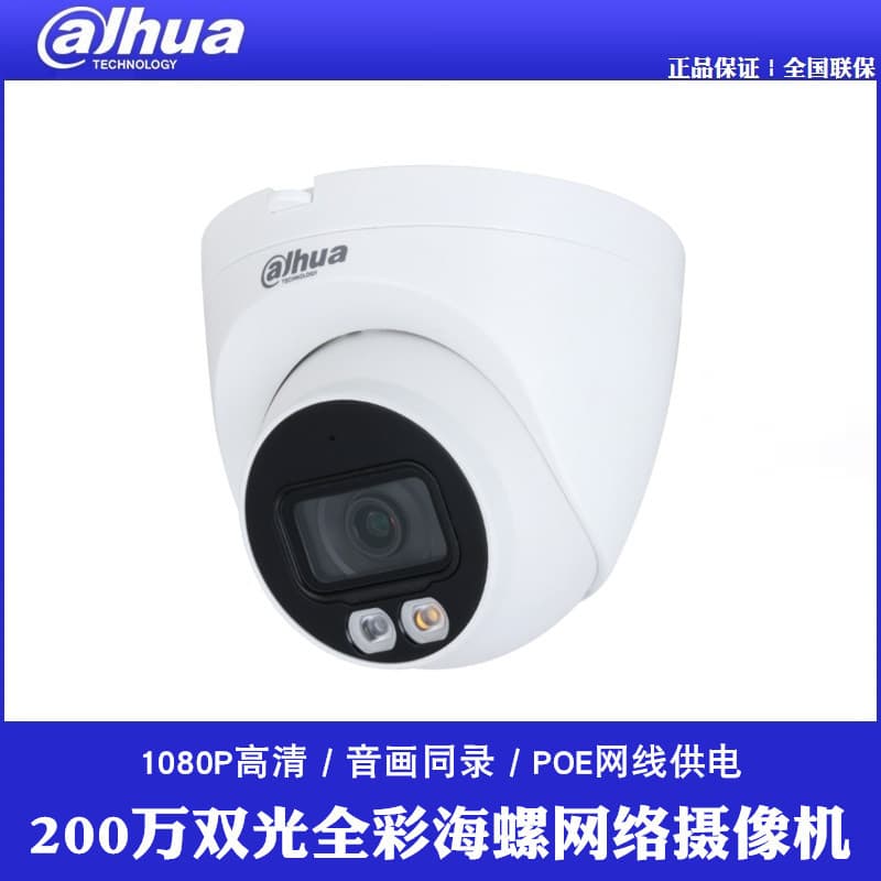 Dahua 2MP Dual-Light Full-Color Dome Camera POE Camera DH-IPC-HDW2233T-IL