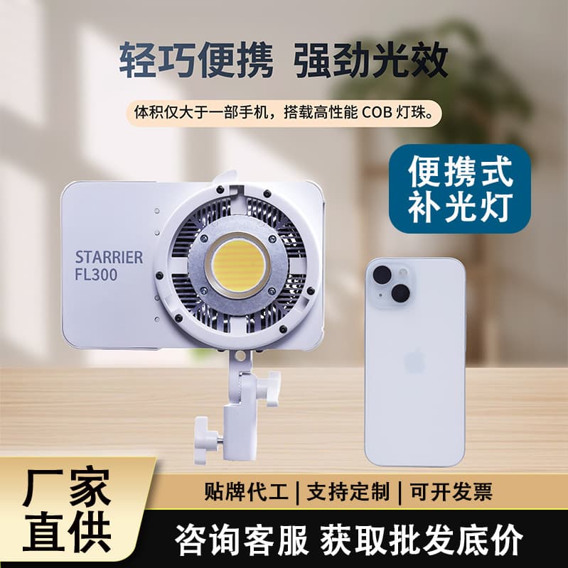 Strictly Selected 300W Portable Softbox Light for Indoor Photography, Video Lighting, Live Streaming Fill Light