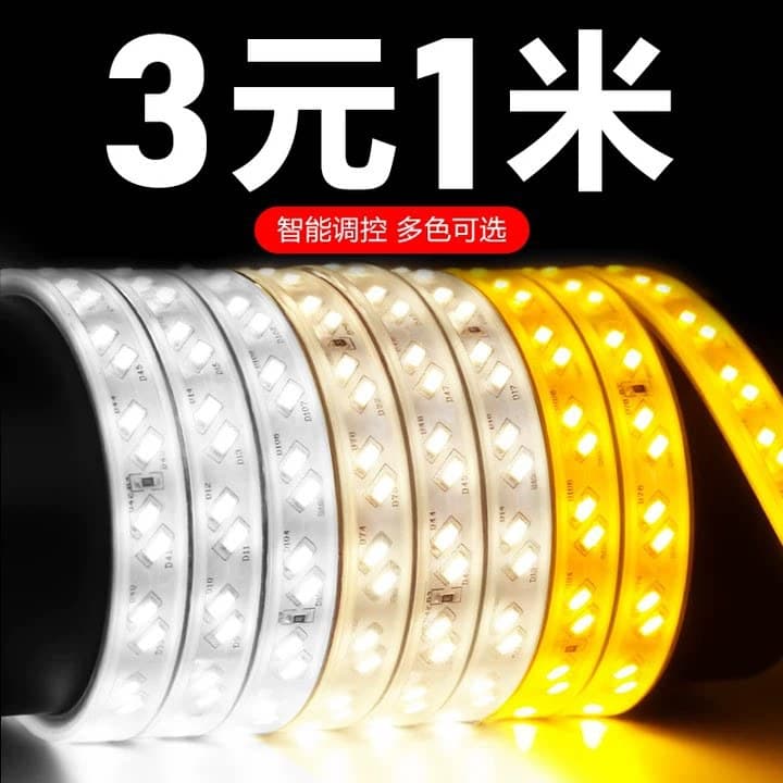 LED Strip Light 220V Ultra Bright for Living Room Ceiling Decoration, Three-Color Dimmable, Outdoor Waterproof Flexible Smart Remote Control