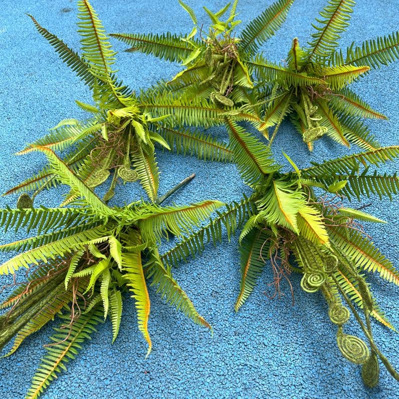 Simulated plant fern leaves, Persian grass, Hericium fern, Wolf head fern green plant, simulated flowers, Chlorophytum decorations, wedding decorations