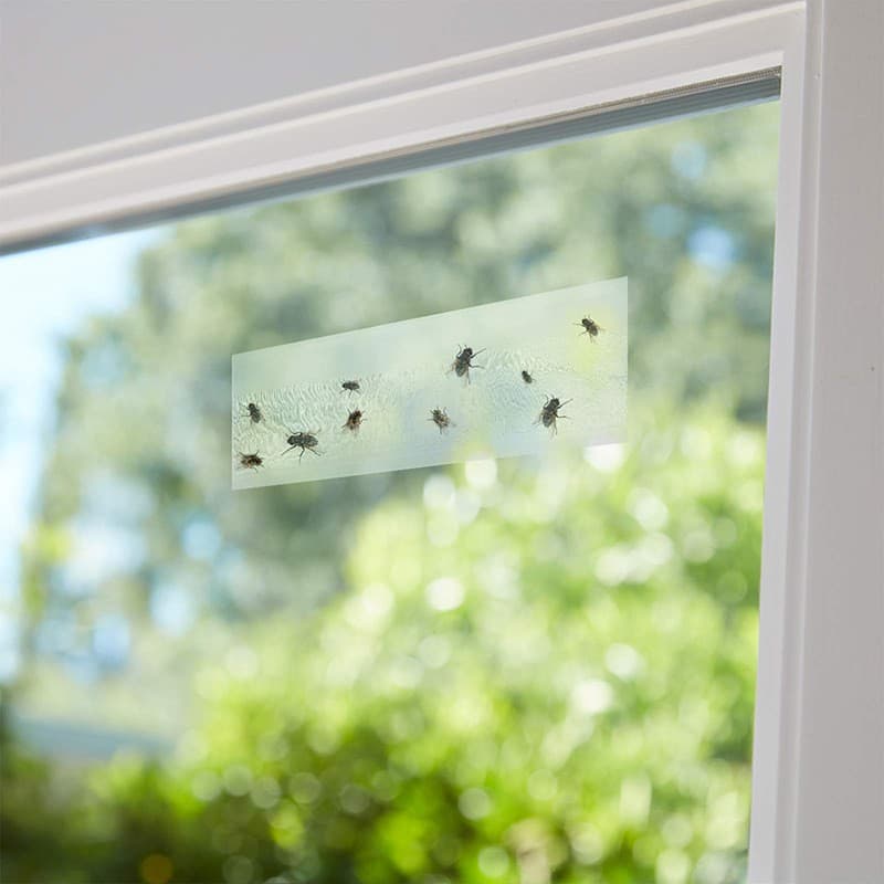 Factory Direct Sticky Fly Window Decal Strong Fly Paper Home Kitchen Non-Toxic Fly Sticker Drop Shipping Supported