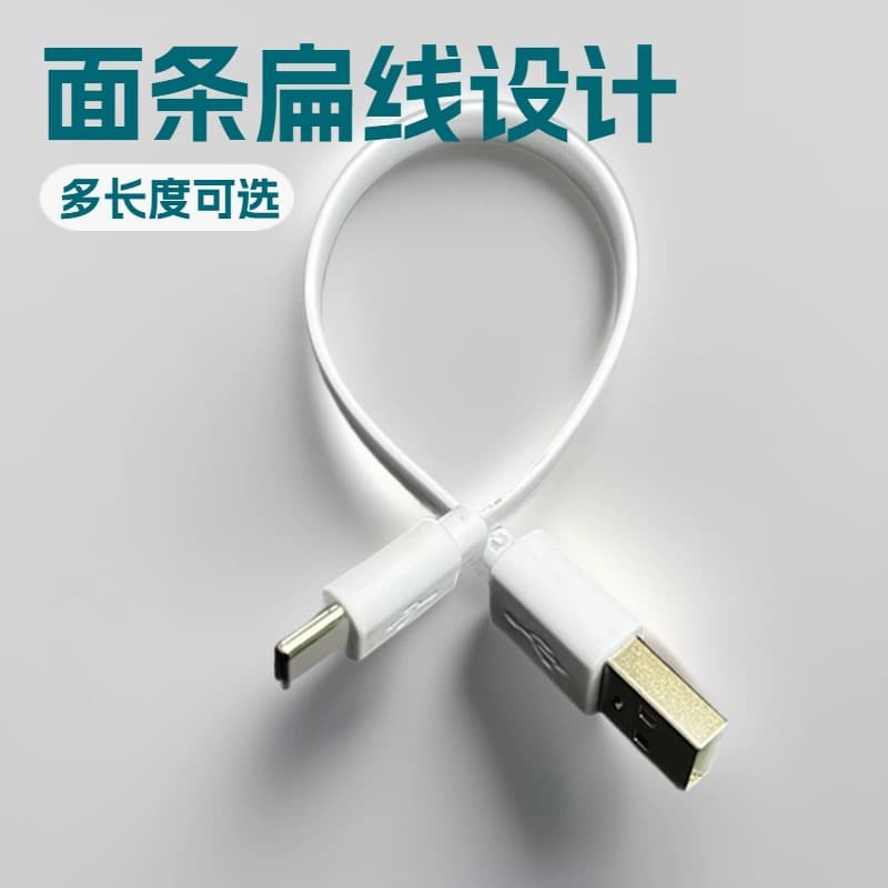 Pure Copper 20cm Flat Type-C Charging Cable - Type-C Charging Cable - Type-C Ribbon Cable - USB Charging
