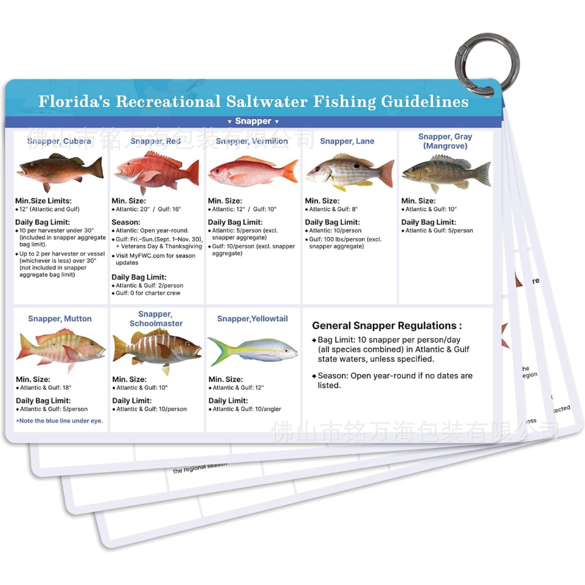 Factory Wholesale Double-Sided Waterproof Quick Reference Fishing Guide Card with Fwc Rules, Size Restrictions, Etc