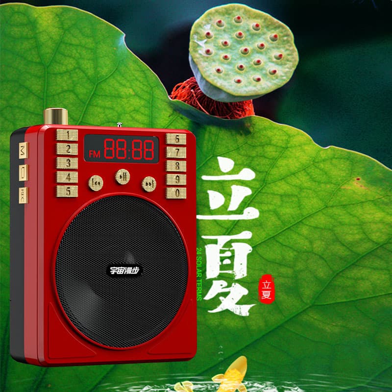 Small Gift Temeiyin T5 Bluetooth Card-Insert Mini Speaker with Recording, Playback, and Radio