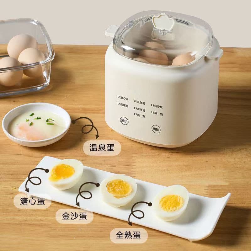 Source Factory Supply Cross-border Small Mini Coffee Pot Multi-functional Egg Cooker Stock Zhongshan Factory
