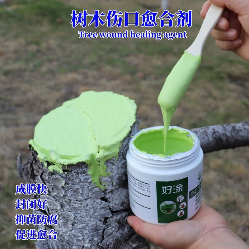 Organic Vermicompost Soil Conditioner Suitable for Plants and Gardens Improves Soil Structure and Nutrient Availability