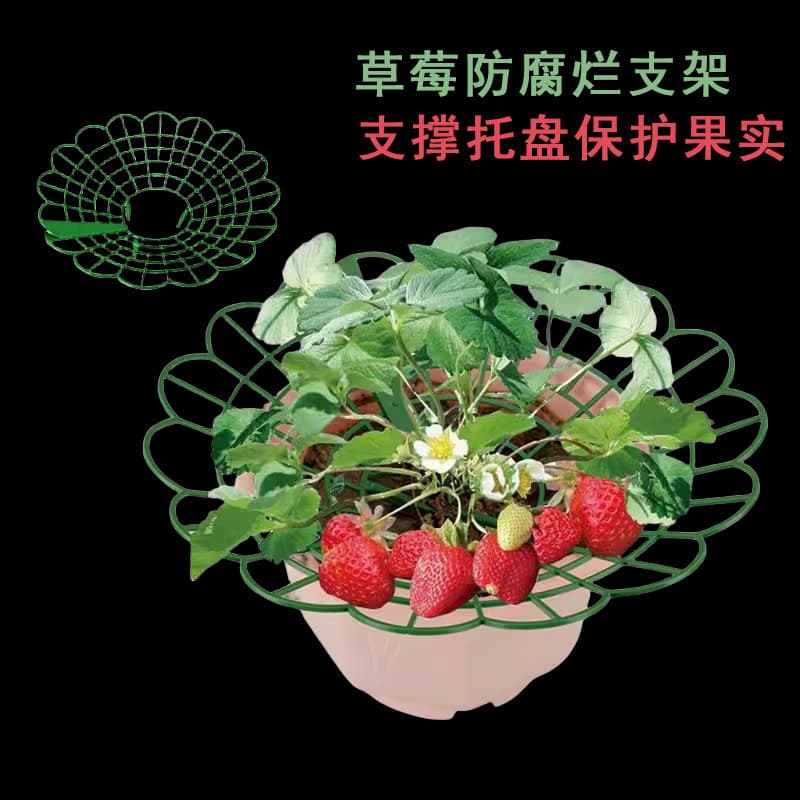 Strawberry Rack Round Tray Support Anti-Fall Potted Plants Green Plant Splice Anti-Rotten Leaves Durable Gardening Support Wholesale
