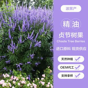 Chaste Tree Berry Essential Oil Bosnia Region Facial Oil Massage Oil Raw Material Wholesale Industrial Sampling Use