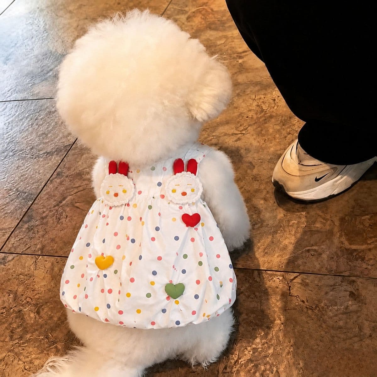 West Highland White Terrier Dog Clothes Summer Thin Rainbow Polka Dot Princess Style Dress Cute Small Dog Dress